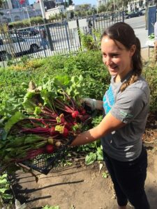 6 Tips for Winter Organic-Gardening Success Image